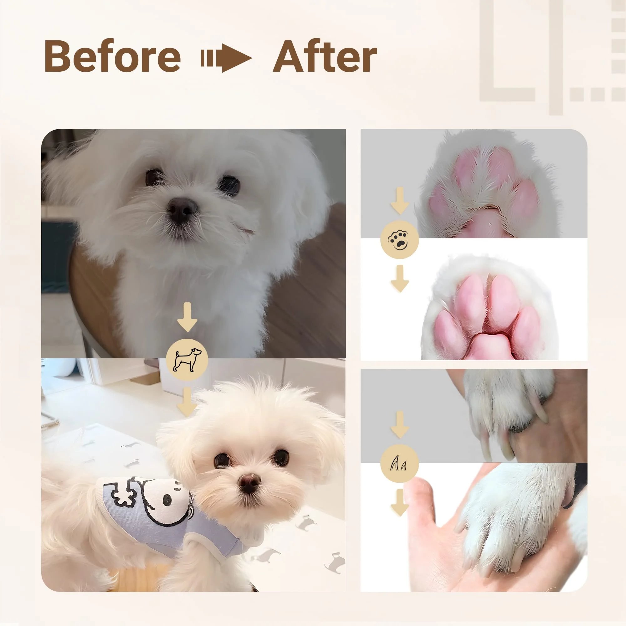 Ultimate Pet Grooming Kit 🐶 4-in-1 Electric Clippers with 4 Interchangeable Blades